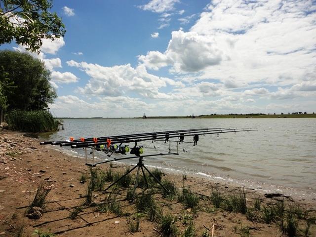 Doar ... NATURA - 4 - dsc09644.JPG